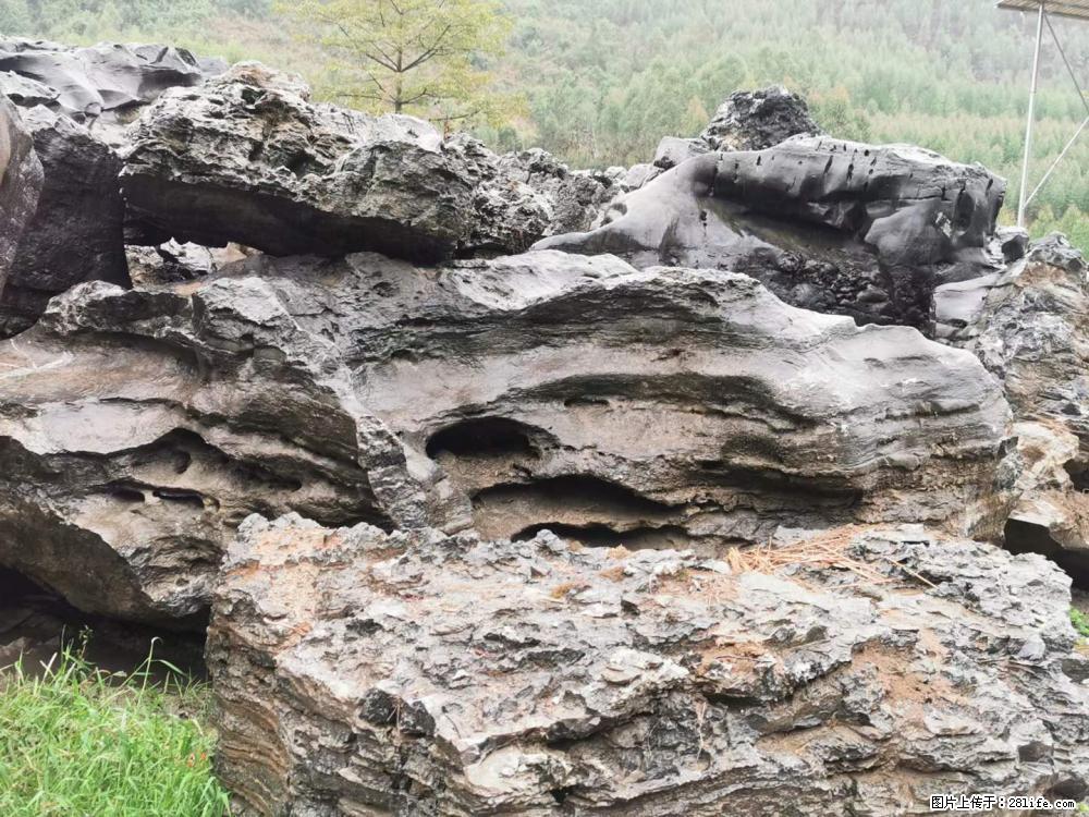 风景石、假山石大量有货，有需要的欢迎联系 - 新手上路 - 南昌生活社区 - 南昌28生活网 nc.28life.net