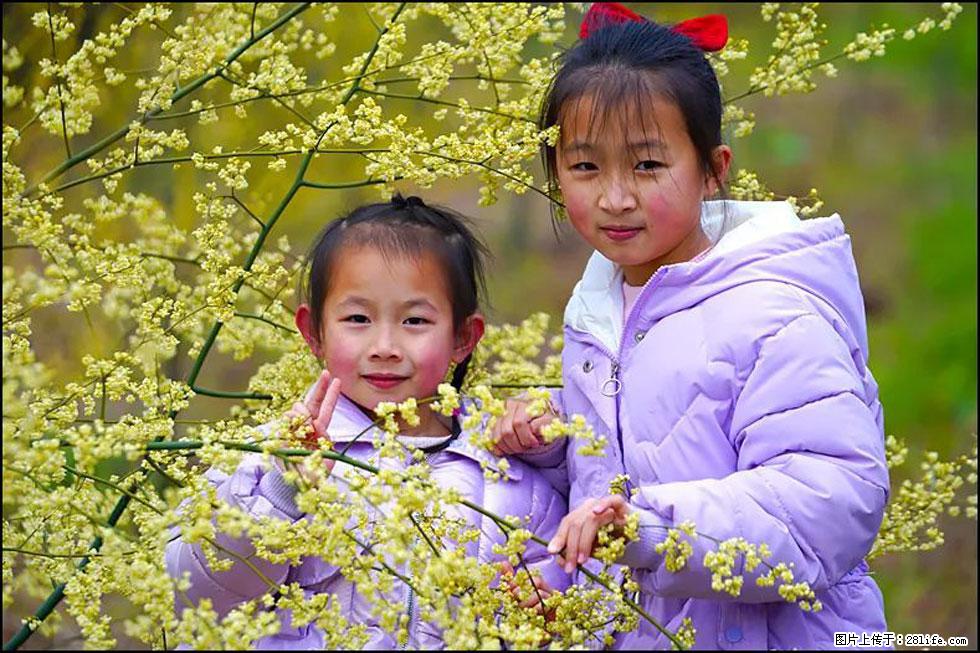 【春天，广西桂林灌阳县向您发出邀请！】米珠山前有片山苍子花在飘香 - 游山玩水 - 南昌生活社区 - 南昌28生活网 nc.28life.net