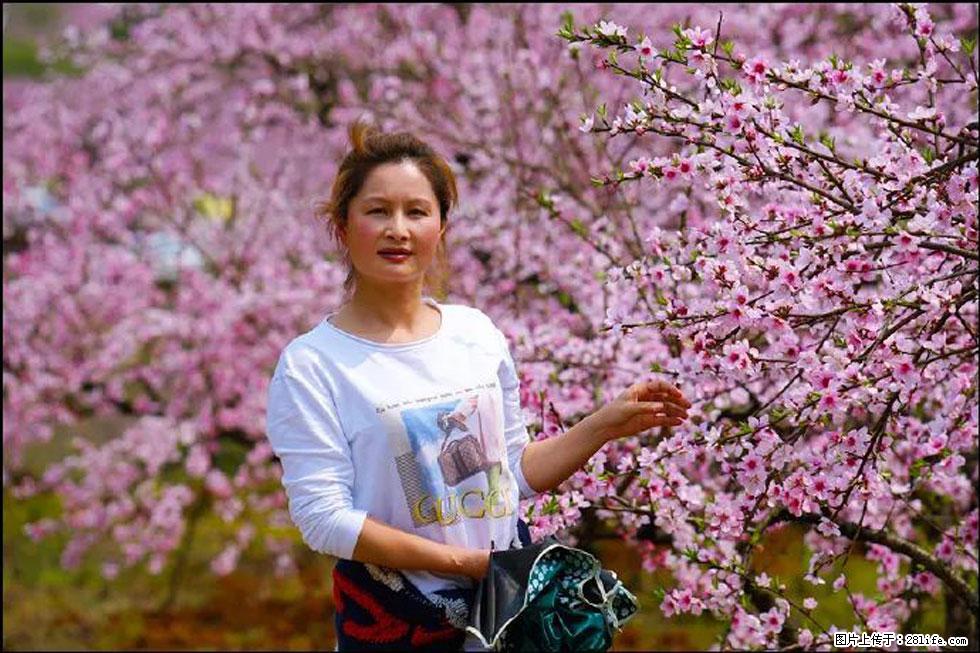 【春天，广西桂林灌阳县向您发出邀请！】官庄村有个醉美的桃花园 - 游山玩水 - 南昌生活社区 - 南昌28生活网 nc.28life.net