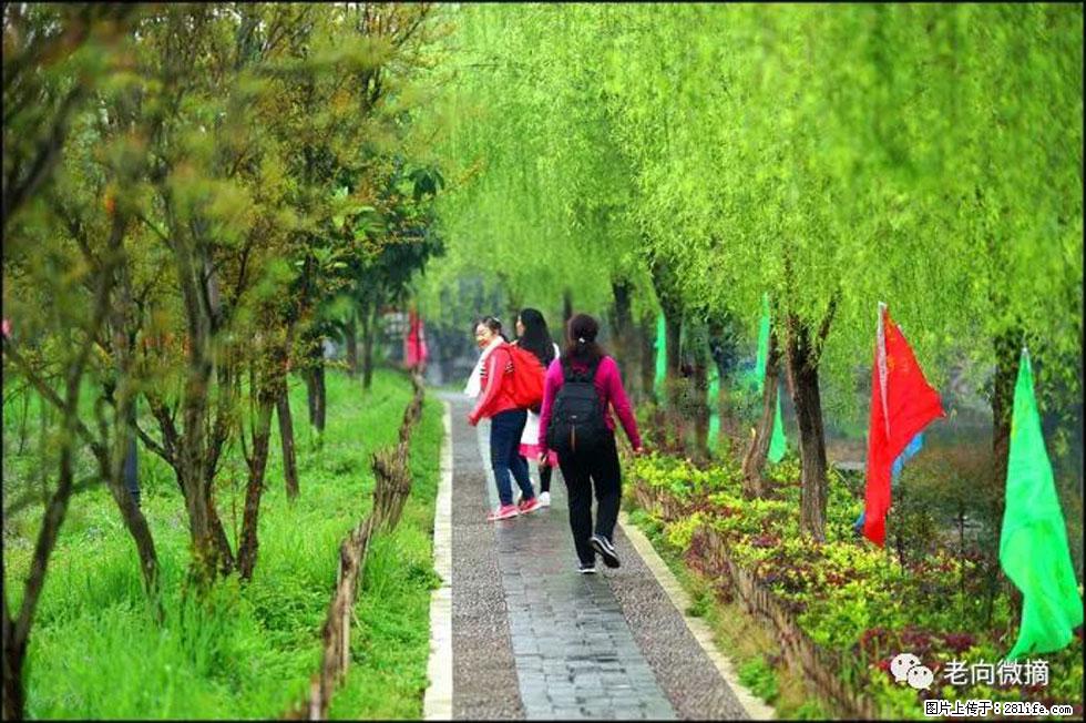【春天，广西桂林灌阳县向您发出邀请！】江口老街又逢春 - 游山玩水 - 南昌生活社区 - 南昌28生活网 nc.28life.net