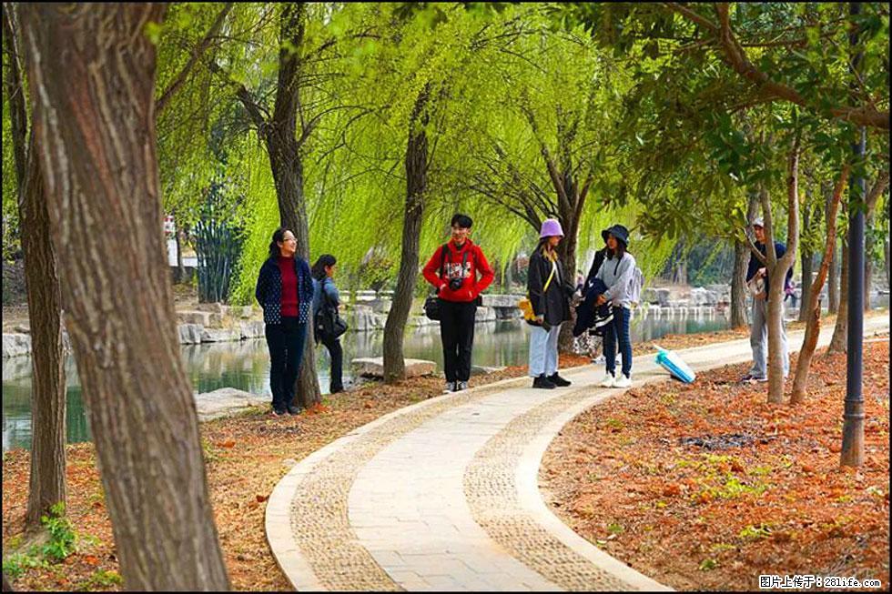 【春天，广西桂林灌阳县向您发出邀请！】江口老街又逢春 - 游山玩水 - 南昌生活社区 - 南昌28生活网 nc.28life.net