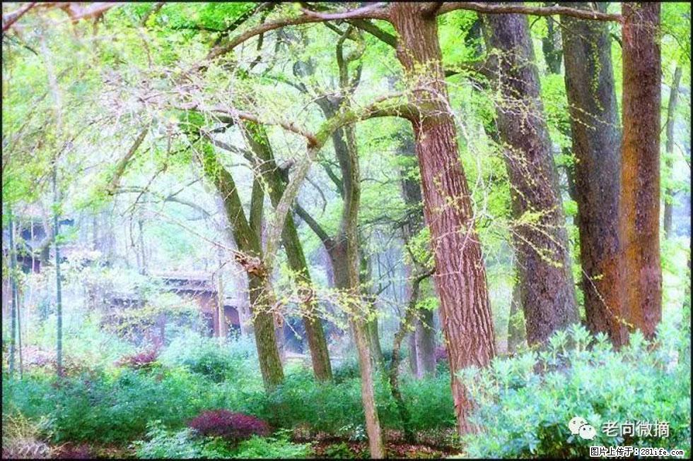 【春天，广西桂林灌阳县向您发出邀请！】在小龙村与春天约会 - 游山玩水 - 南昌生活社区 - 南昌28生活网 nc.28life.net