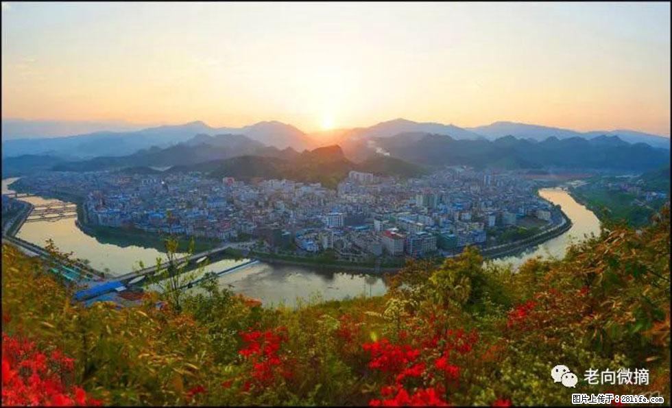 【春天，广西桂林灌阳县向您发出邀请！】登麒麟山，相约映山红 - 游山玩水 - 南昌生活社区 - 南昌28生活网 nc.28life.net