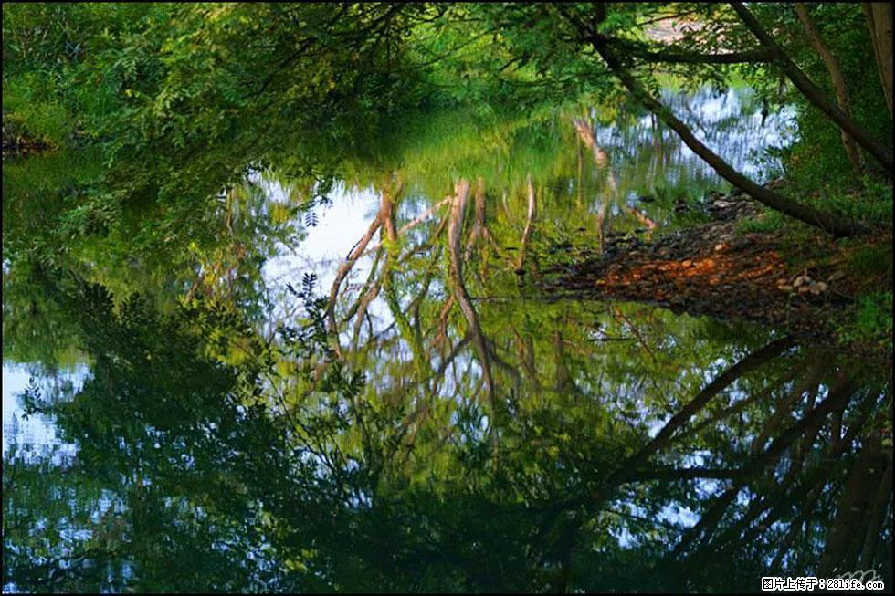 【春天，广西桂林灌阳县向您发出邀请！】熊家寨湿地公园 - 游山玩水 - 南昌生活社区 - 南昌28生活网 nc.28life.net