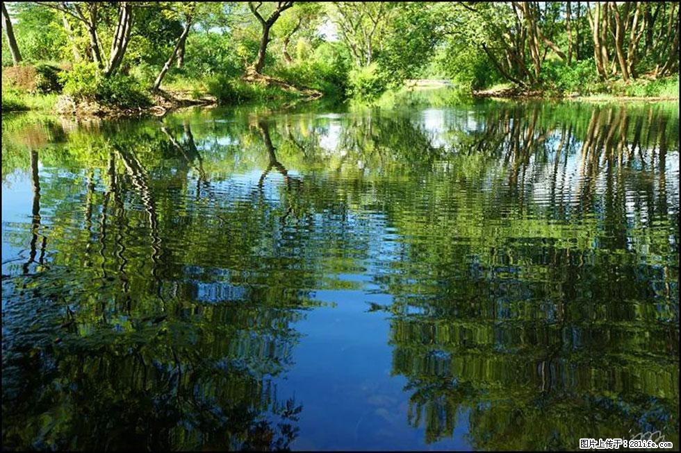 【春天，广西桂林灌阳县向您发出邀请！】熊家寨湿地公园 - 游山玩水 - 南昌生活社区 - 南昌28生活网 nc.28life.net