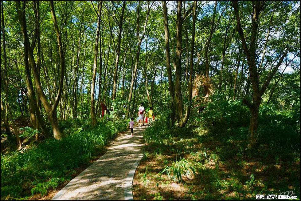 【春天，广西桂林灌阳县向您发出邀请！】熊家寨湿地公园 - 游山玩水 - 南昌生活社区 - 南昌28生活网 nc.28life.net