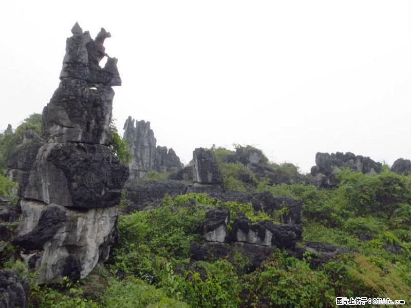 桂林旅游名城景点:灌阳文市石林 - 游山玩水 - 南昌生活社区 - 南昌28生活网 nc.28life.net
