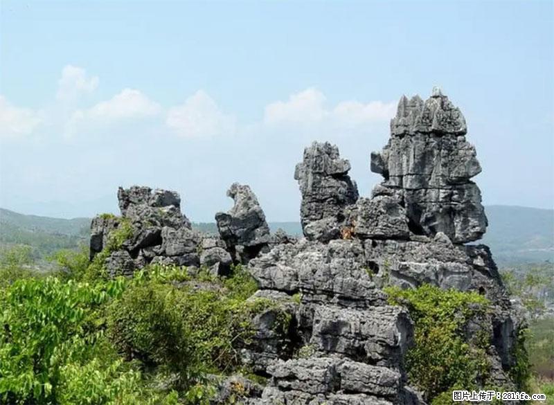 桂林旅游名城景点:灌阳文市石林 - 游山玩水 - 南昌生活社区 - 南昌28生活网 nc.28life.net