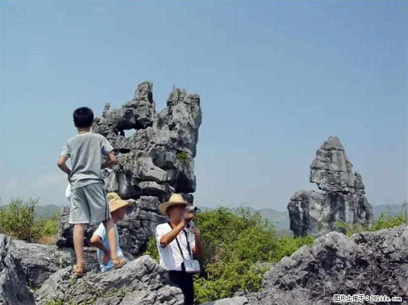 桂林旅游名城景点:灌阳文市石林 - 游山玩水 - 南昌生活社区 - 南昌28生活网 nc.28life.net