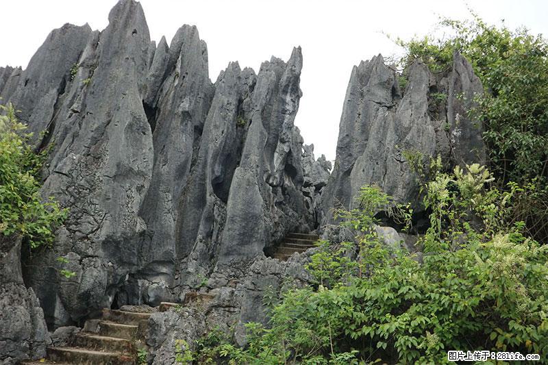 桂林旅游名城景点:灌阳文市石林 - 游山玩水 - 南昌生活社区 - 南昌28生活网 nc.28life.net
