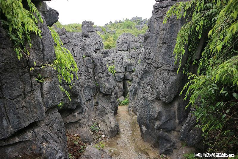 桂林旅游名城景点:灌阳文市石林 - 游山玩水 - 南昌生活社区 - 南昌28生活网 nc.28life.net