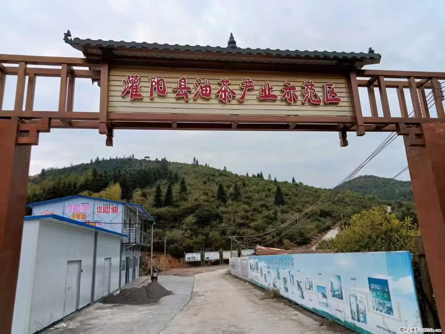【灌阳县油茶产业示范区】一个有着充实的精神生活的人,对待身外之物自会有一种淡泊的态度 - 美食天地 - 南昌生活社区 - 南昌28生活网 nc.28life.net