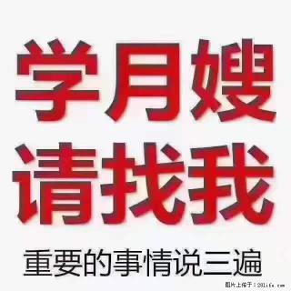 为什么要学习月嫂，育婴师？ - 南昌28生活网 nc.28life.net