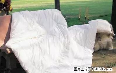 被子有异味？只要这样做，比晒太阳还强100倍！ - 家居生活 - 南昌生活社区 - 南昌28生活网 nc.28life.net