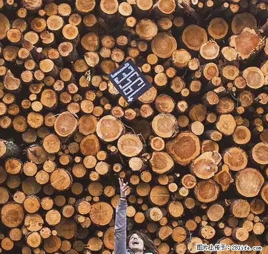辞掉工作周游世界？现在他们在洗厕所…… - 游山玩水 - 南昌生活社区 - 南昌28生活网 nc.28life.net