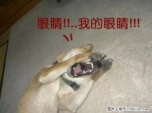 笑癫了！一女的怀孕三年未生，他终于忍不住了... - 娱乐八卦 - 南昌生活社区 - 南昌28生活网 nc.28life.net