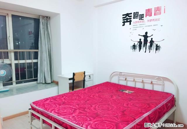 万达星城西区,精美合租公寓,家具家电齐全,拎包入住,欢迎来电 - 房屋出租 - 房屋租售 - 南昌分类信息 - 南昌28生活网 nc.28life.net