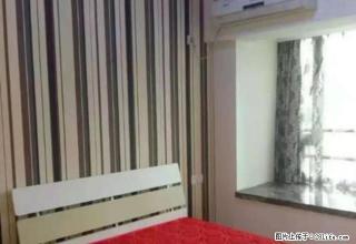 唐宁街 精装公寓 价格便宜 干净清爽 南北透通 拎包直住 - 南昌28生活网 nc.28life.net