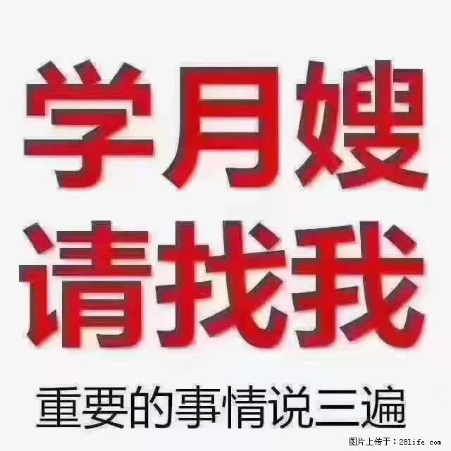 【招聘】月嫂，上海徐汇区 - 职场交流 - 南昌生活社区 - 南昌28生活网 nc.28life.net