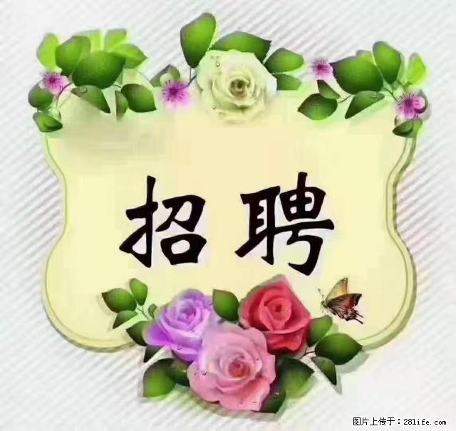 【招聘】住家育儿嫂，上户日期：4月4日，工作地址：上海 黄浦区 - 职场交流 - 南昌生活社区 - 南昌28生活网 nc.28life.net