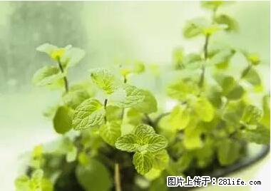 晕车、脚气、牙齿变黄、皮肤粗糙？学会这些三分钟搞定！ - 南昌生活资讯 - 南昌28生活网 nc.28life.net