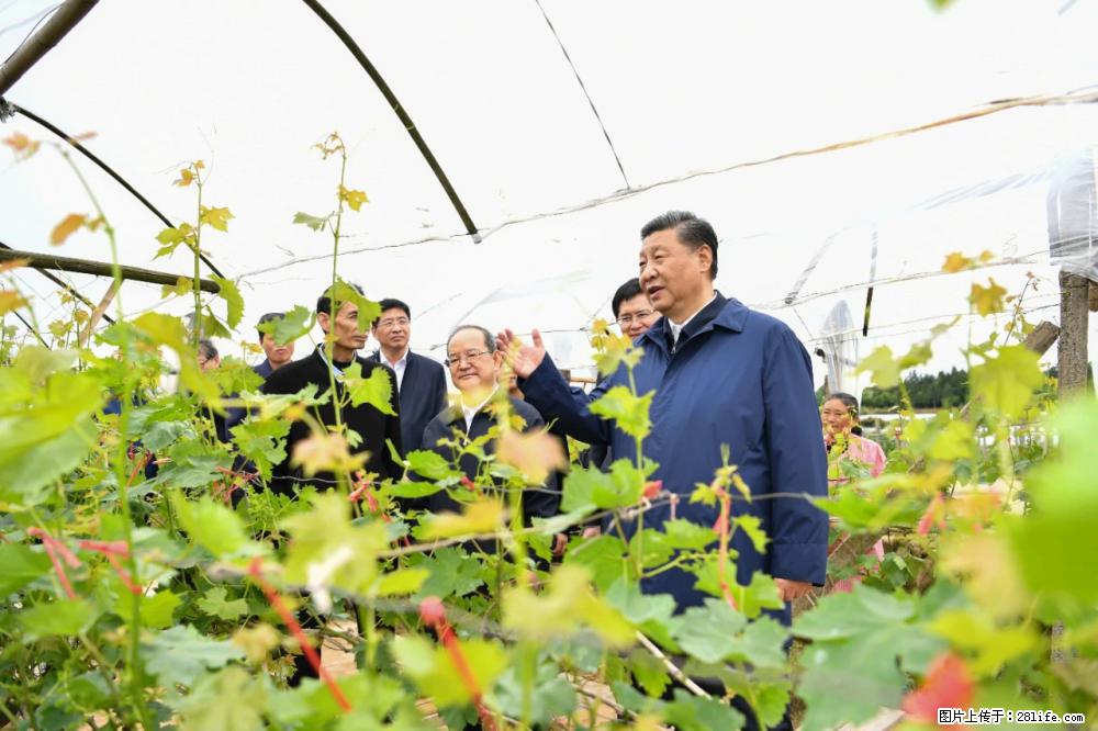 习近平赴广西考察调研 - 南昌生活资讯 - 南昌28生活网 nc.28life.net