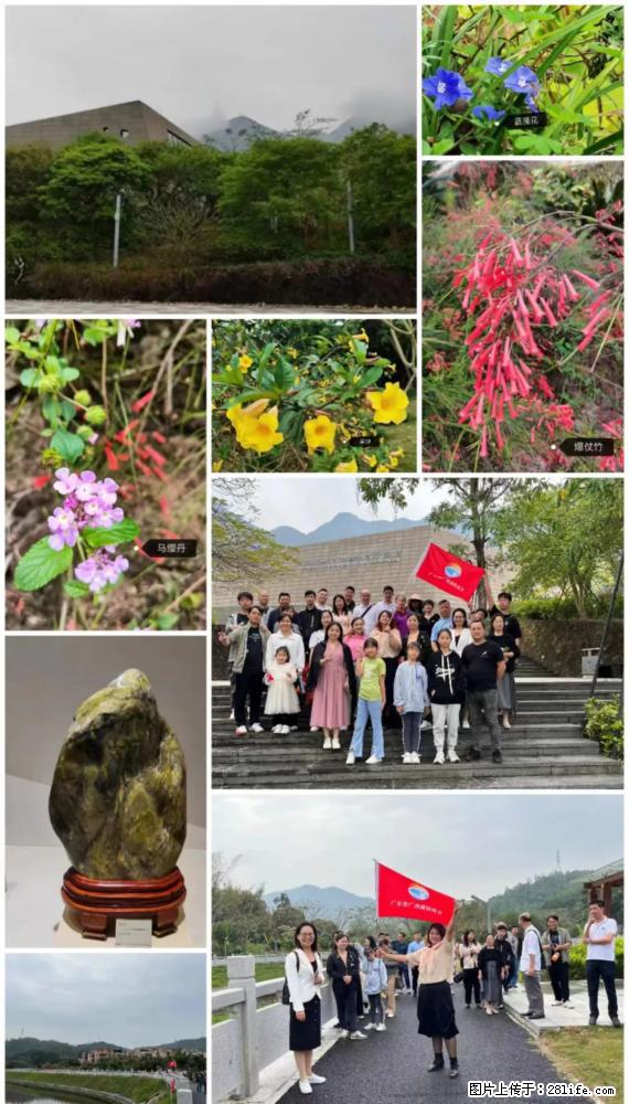 “粤灌文化 美好生活”油茶文化主题活动在广东深圳成功举办 - 南昌生活资讯 - 南昌28生活网 nc.28life.net