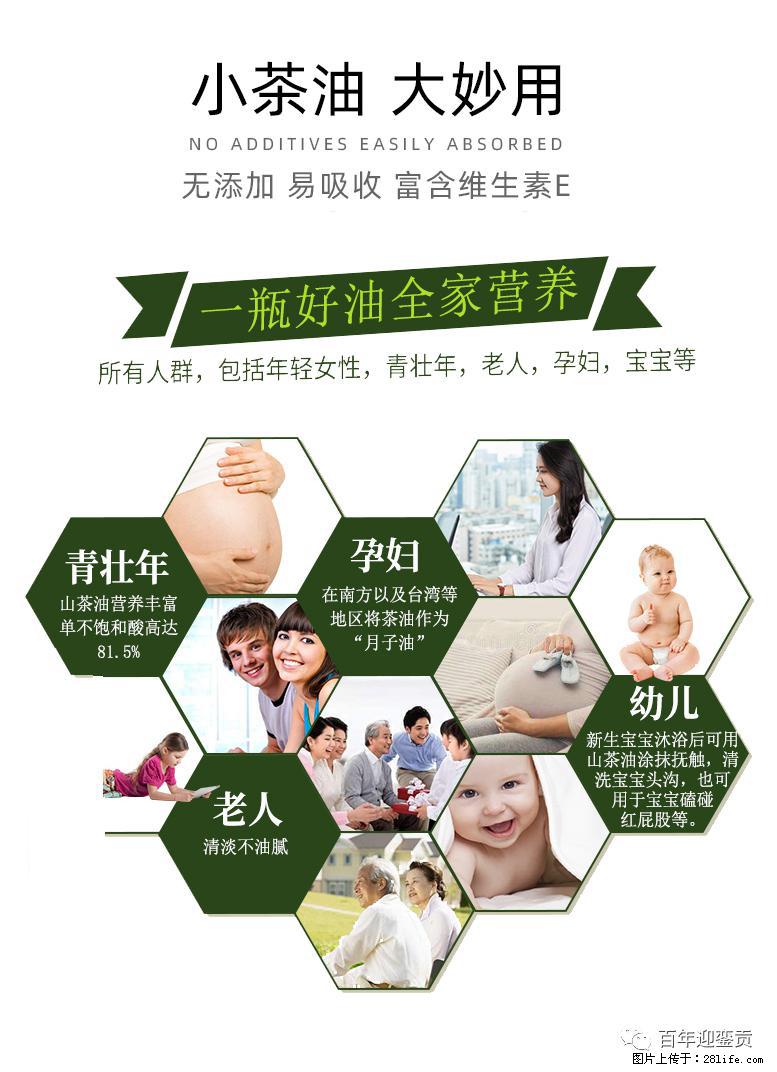 世界没有真相，只有认知，最好的食用油是中国的山茶油！ - 南昌生活资讯 - 南昌28生活网 nc.28life.net