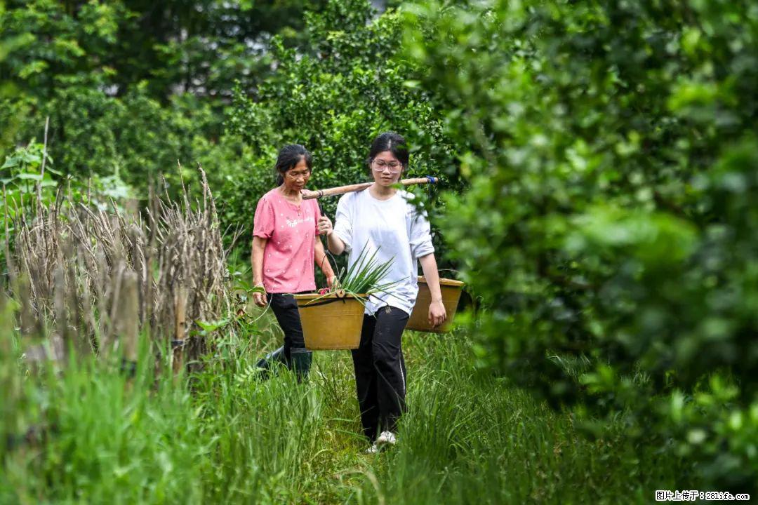 全网追的“扁担女孩”，找了一份暑假工，时薪12元 - 南昌生活资讯 - 南昌28生活网 nc.28life.net