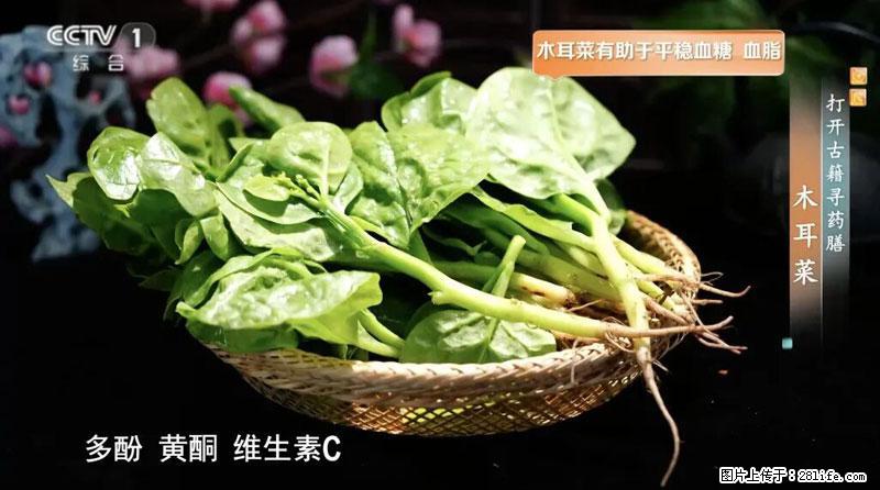 比牛奶补钙还厉害！凉血解毒、稳血糖...这菜冬天必吃，很多人却当草 - 南昌生活资讯 - 南昌28生活网 nc.28life.net