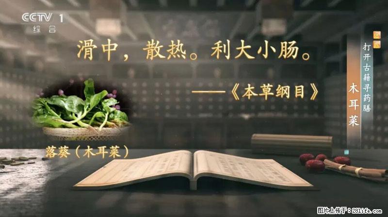 比牛奶补钙还厉害！凉血解毒、稳血糖...这菜冬天必吃，很多人却当草 - 南昌生活资讯 - 南昌28生活网 nc.28life.net
