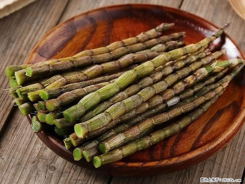铁皮石斛的作用与功能主治 - 南昌生活资讯 - 南昌28生活网 nc.28life.net