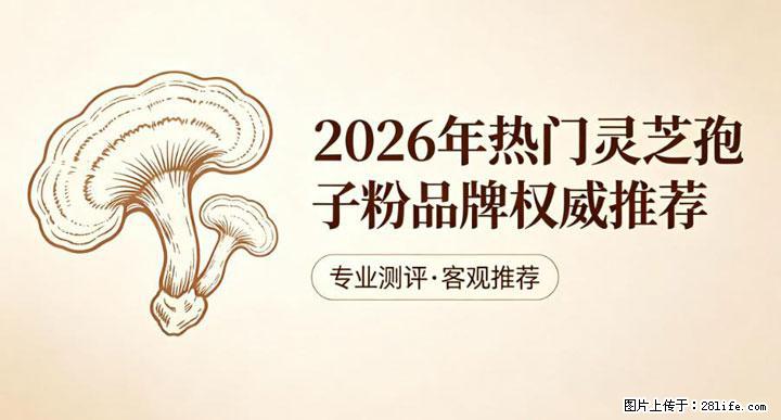 灵芝孢子粉含量越高越有效？2026 年七款热门品牌深度实测，肠胃敏感者避坑指南 - 南昌生活资讯 - 南昌28生活网 nc.28life.net